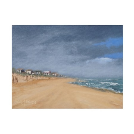 Thomas Stotts 'Beach Houses And Surf' Canvas Art,14x19